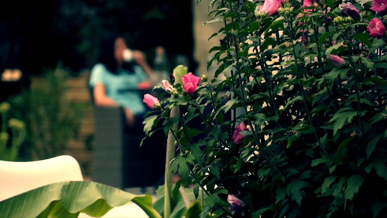 Domaine De L'Espal Meursac Екстериор снимка